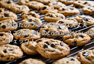 あなたのプライバシーは大丈夫？このサイトのCookieポリシーをチェック！