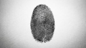 Claudeの特徴とは？競合AIとの違いや強みをわかりやすく解説